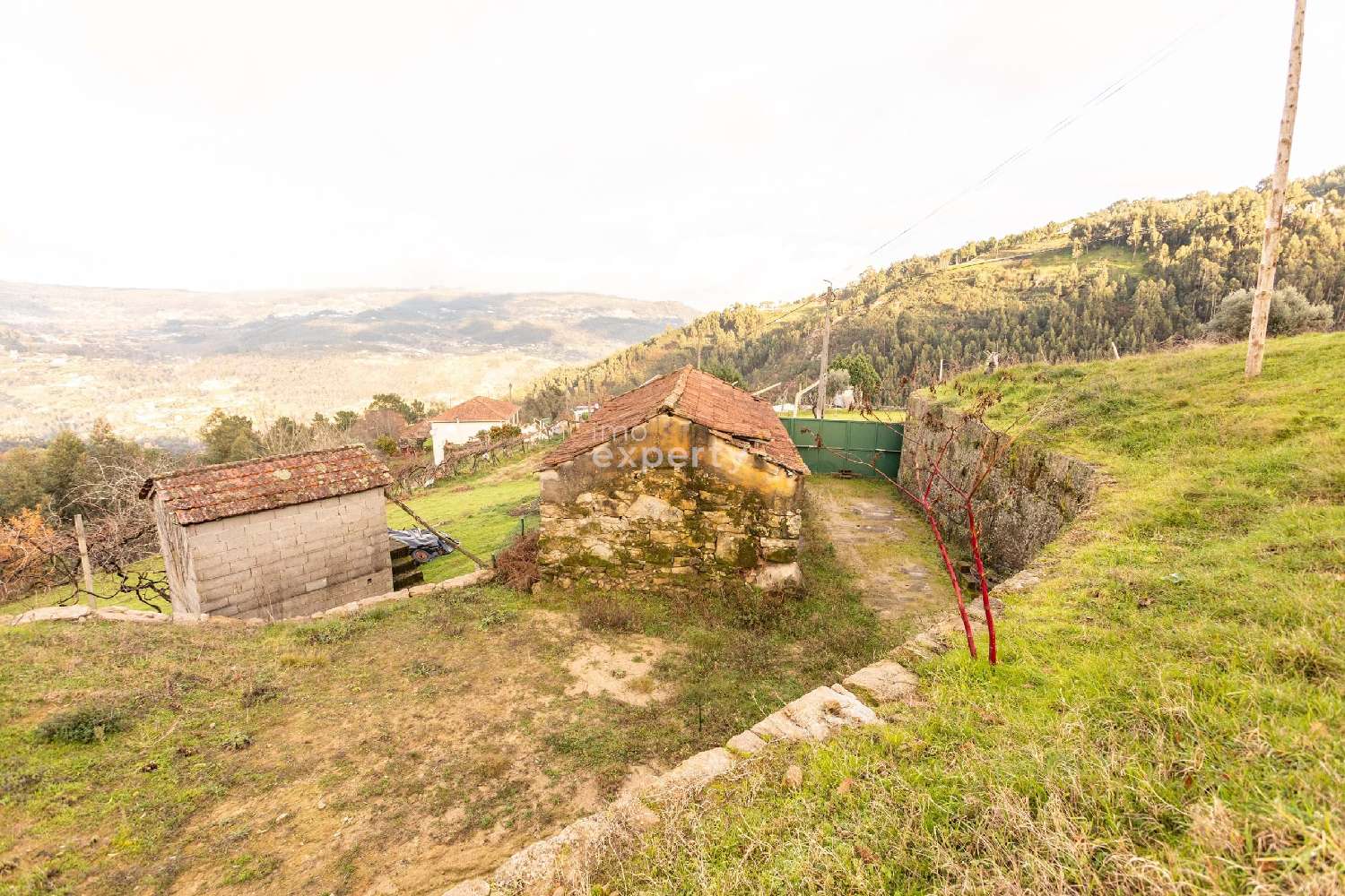  te koop terrein Cinfães Cinfães 7