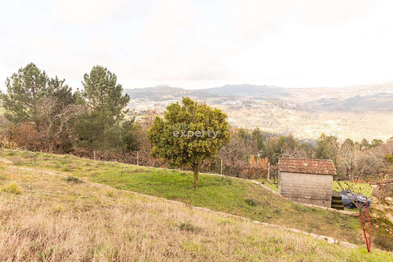  te koop terrein Cinfães Cinfães 8