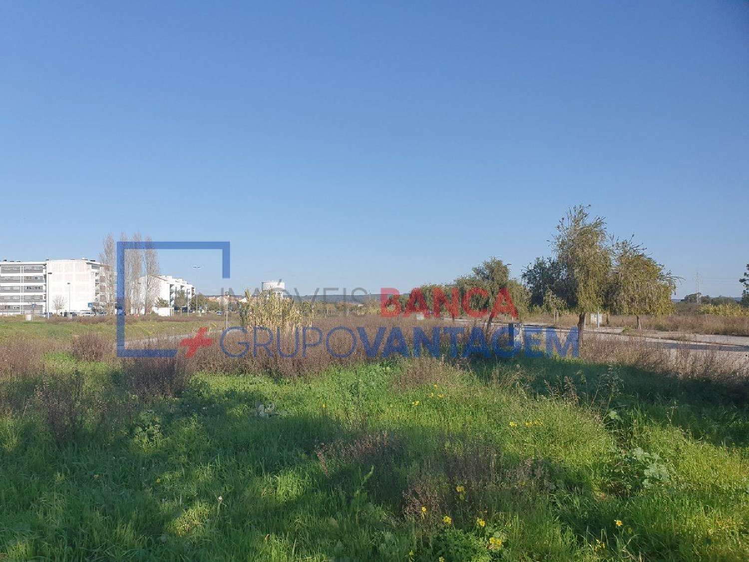  te koop terrein Entroncamento Entroncamento 2