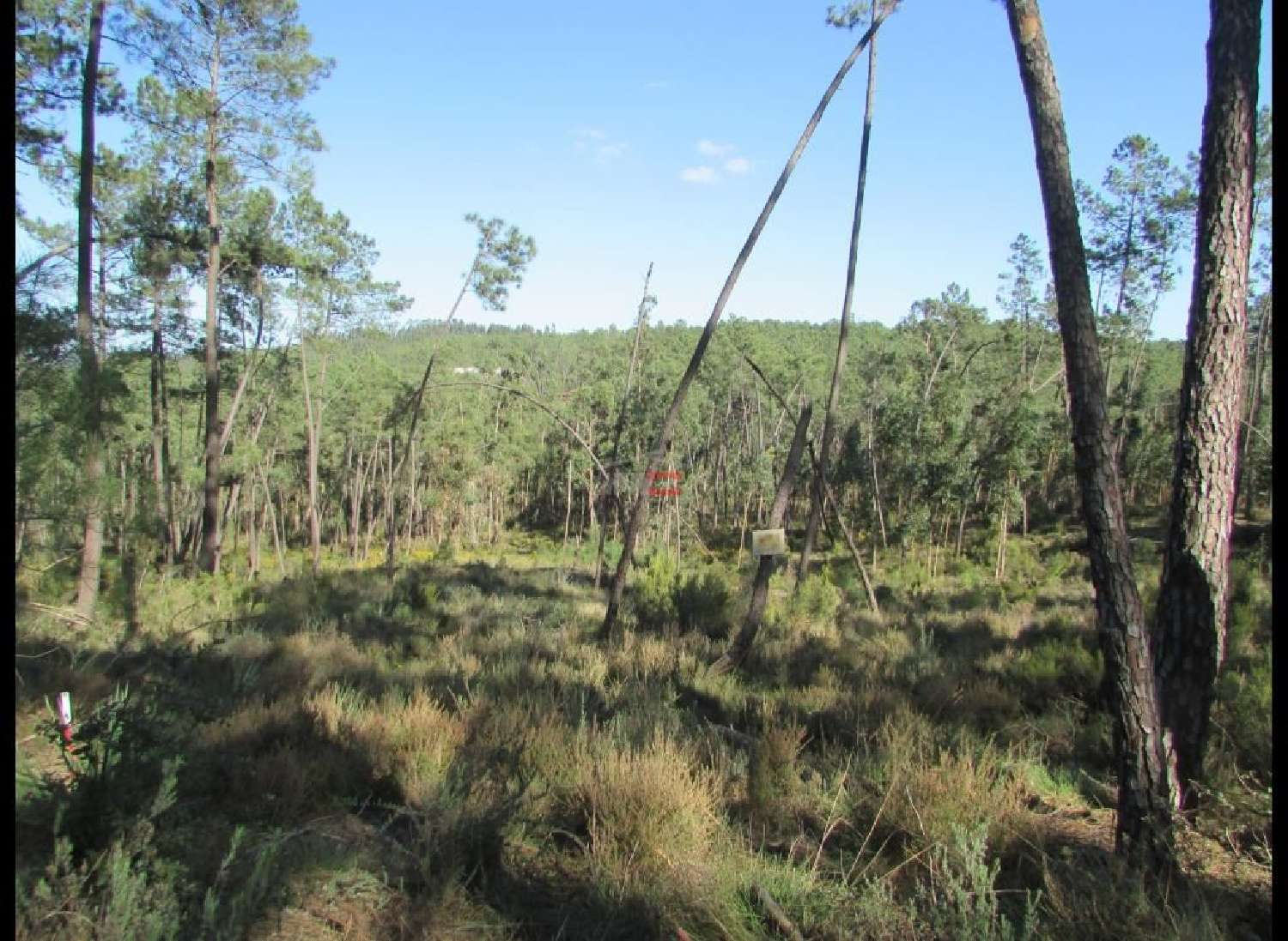  à venda terreno Formigais Ourém 1