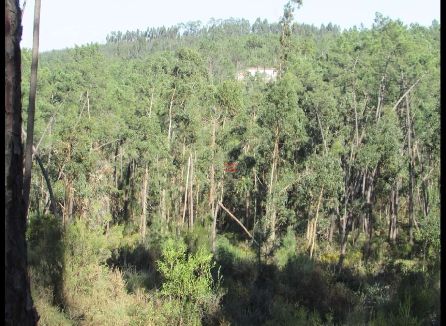  à venda terreno Formigais Ourém 2