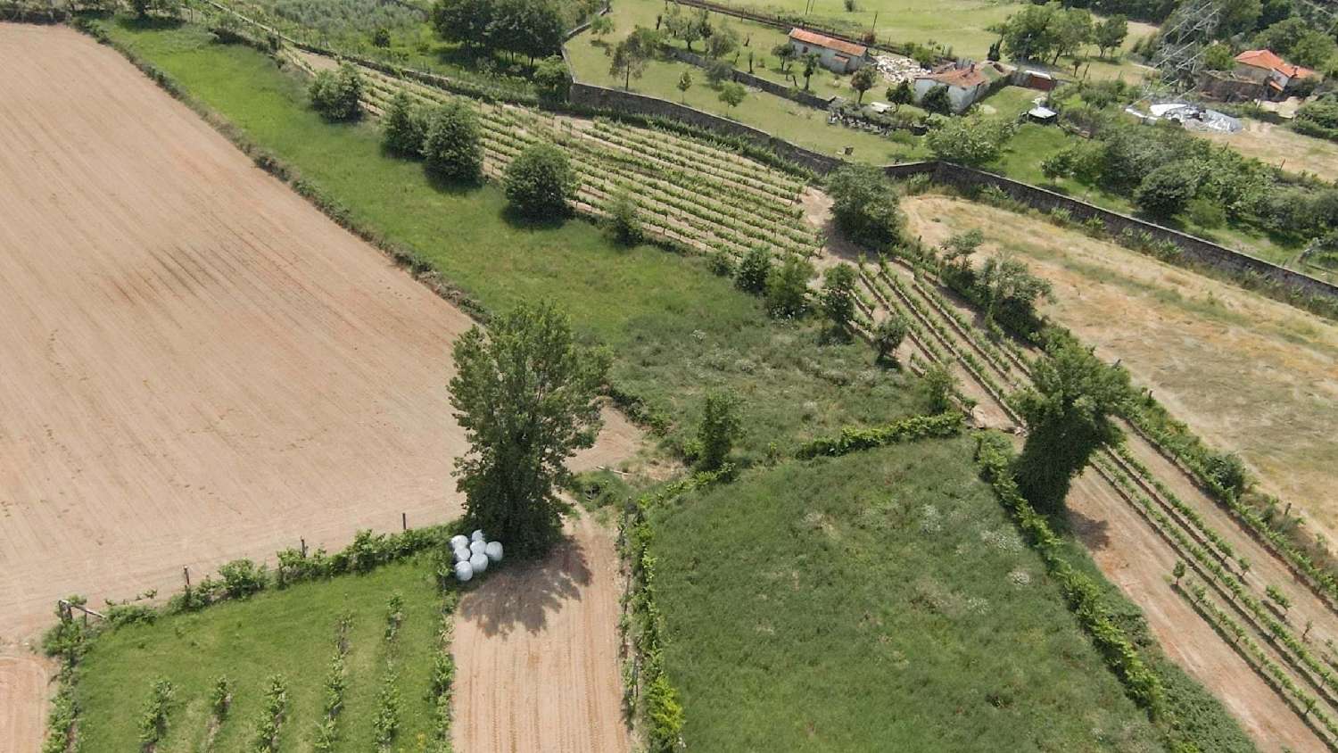  kaufen Grundstück Longos Guimarães 2