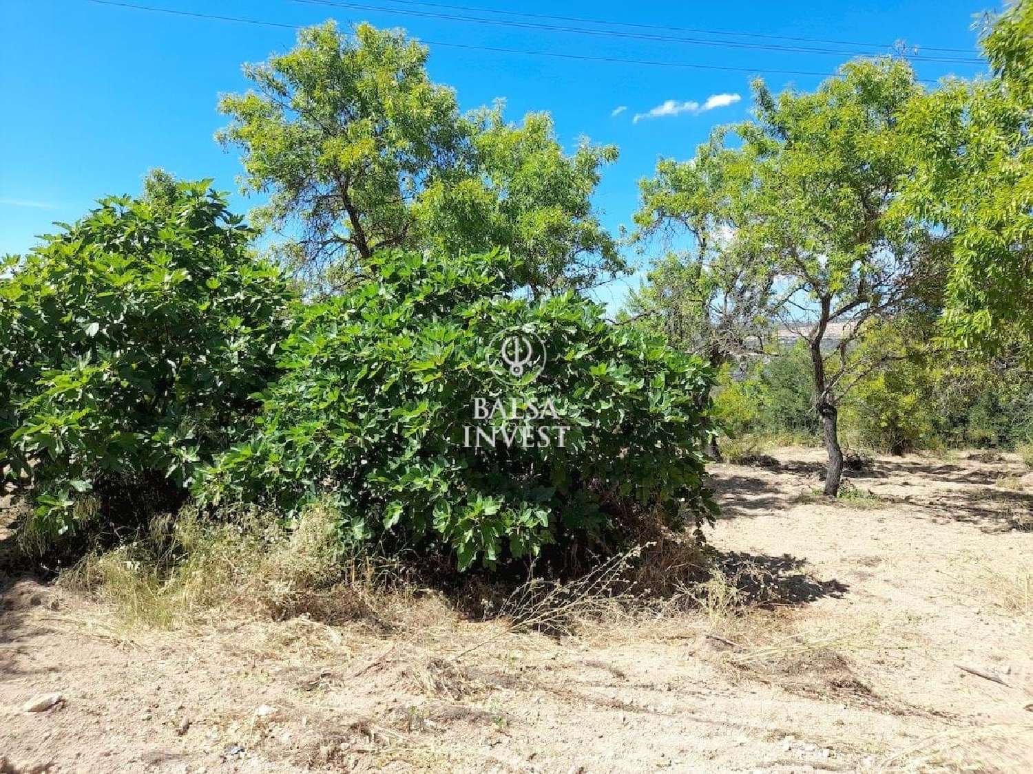  te koop terrein Loulé Loulé 5