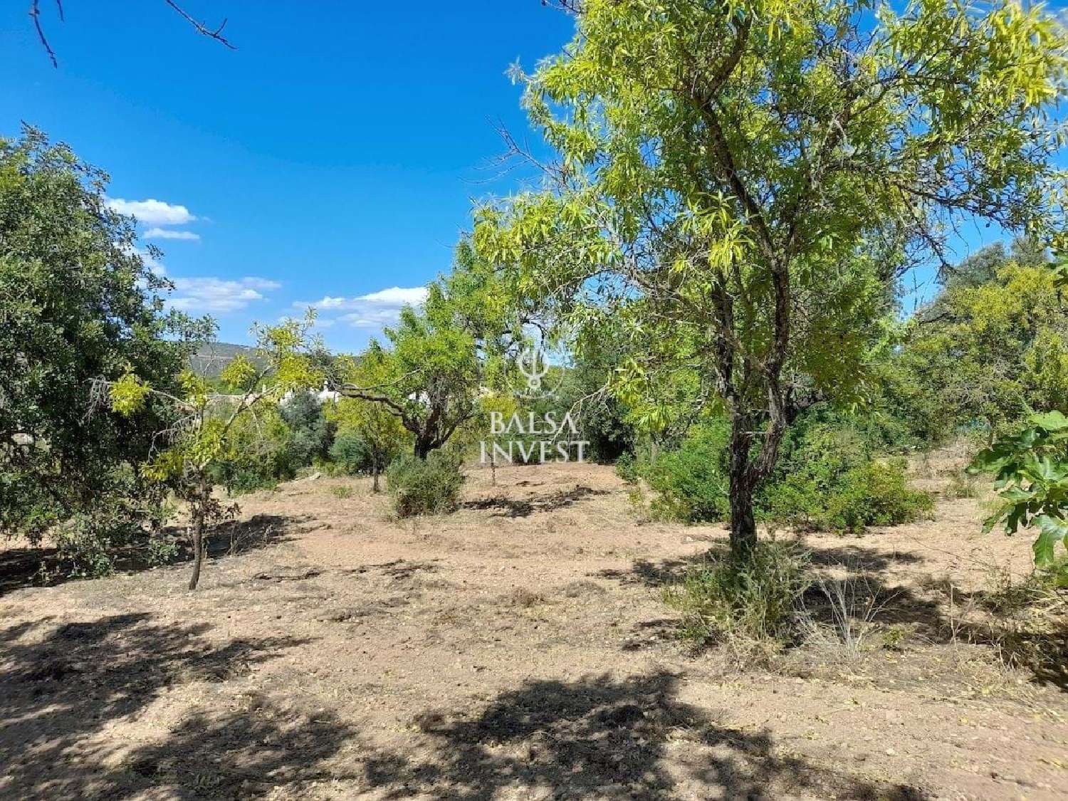  te koop terrein Loulé Loulé 6
