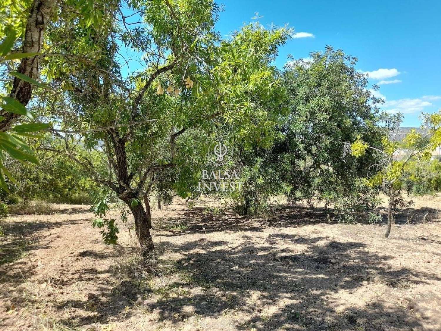  te koop terrein Loulé Loulé 7