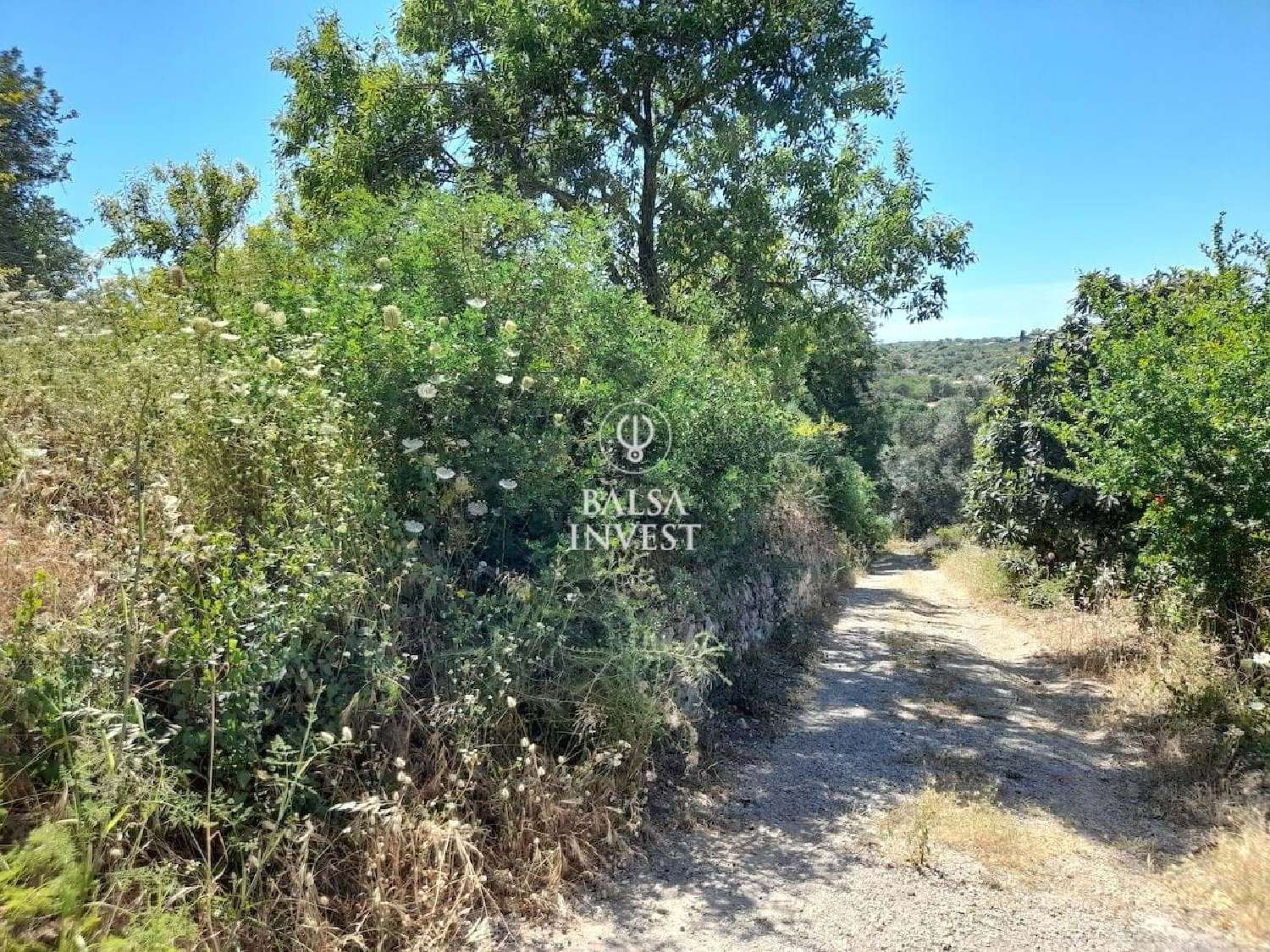  te koop terrein Loulé Loulé 8