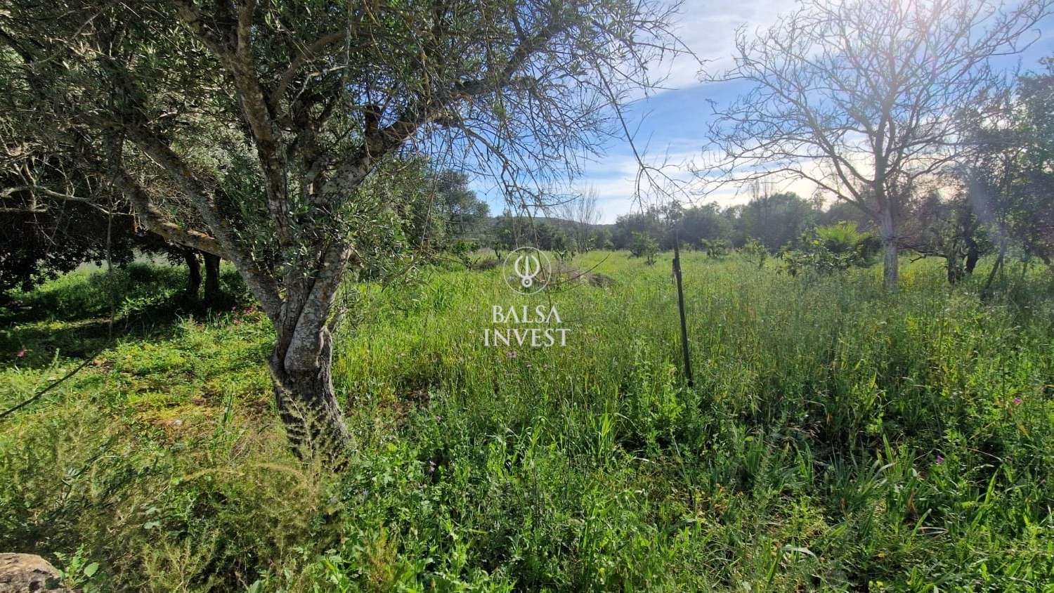  te koop terrein Loulé Loulé 3