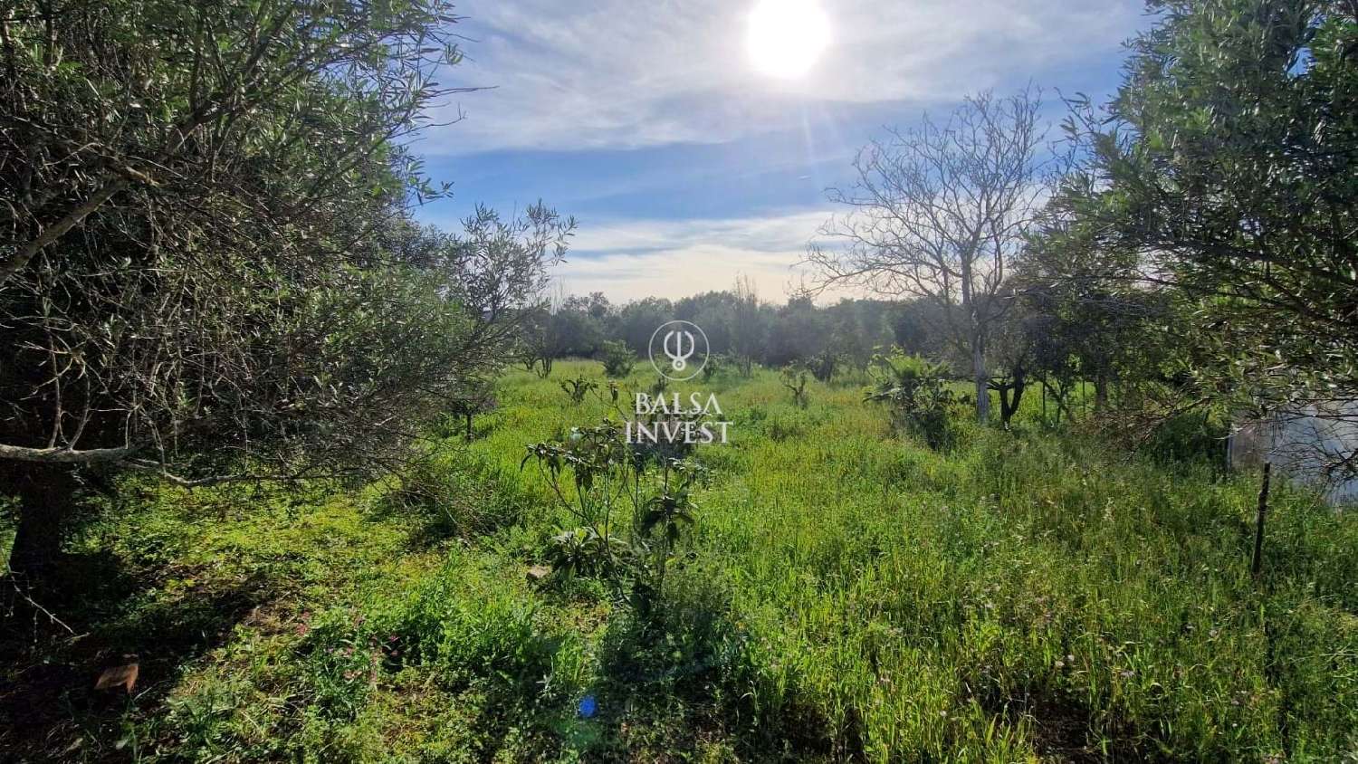  te koop terrein Loulé Loulé 4