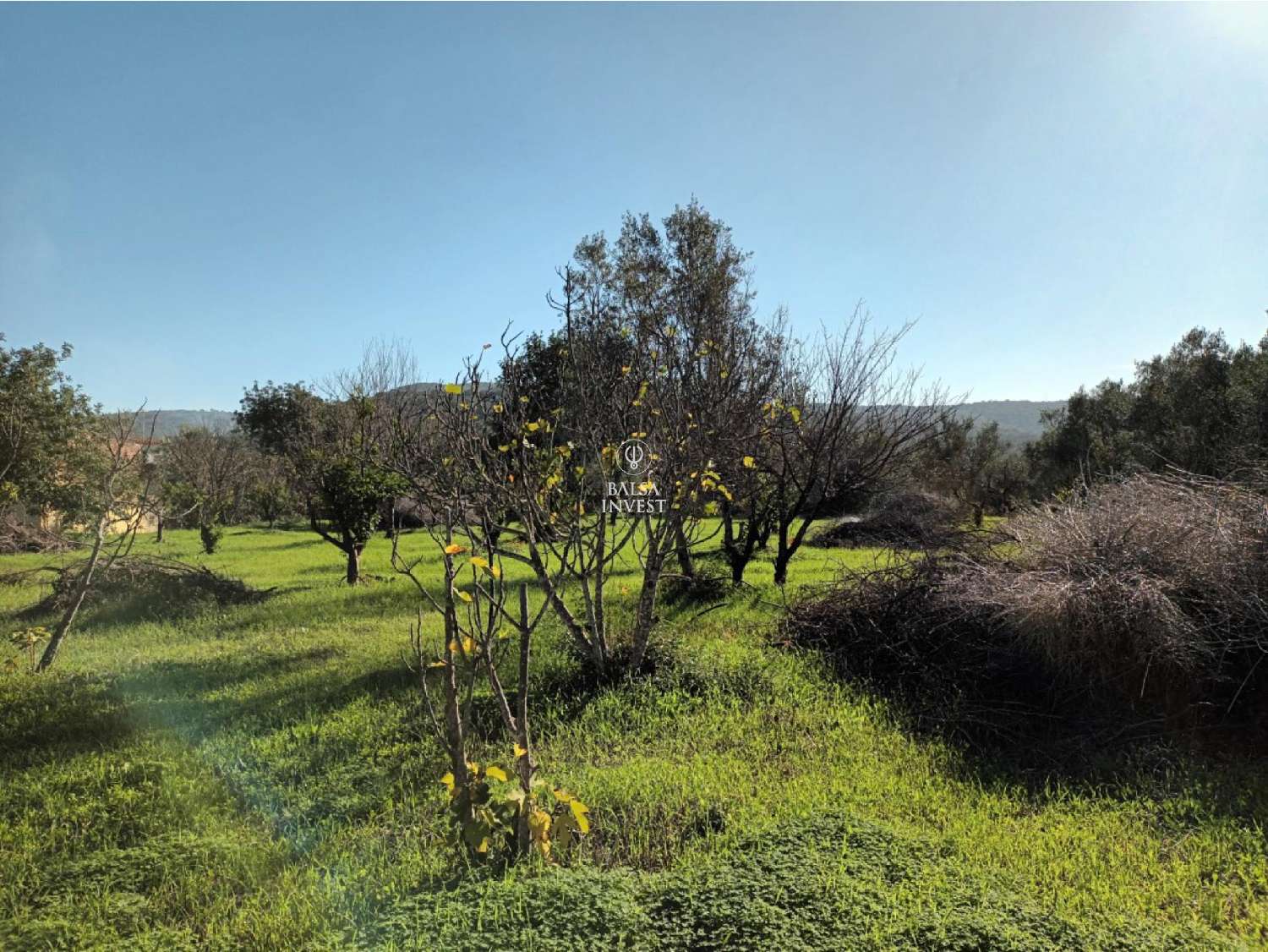  te koop terrein Loulé Loulé 5