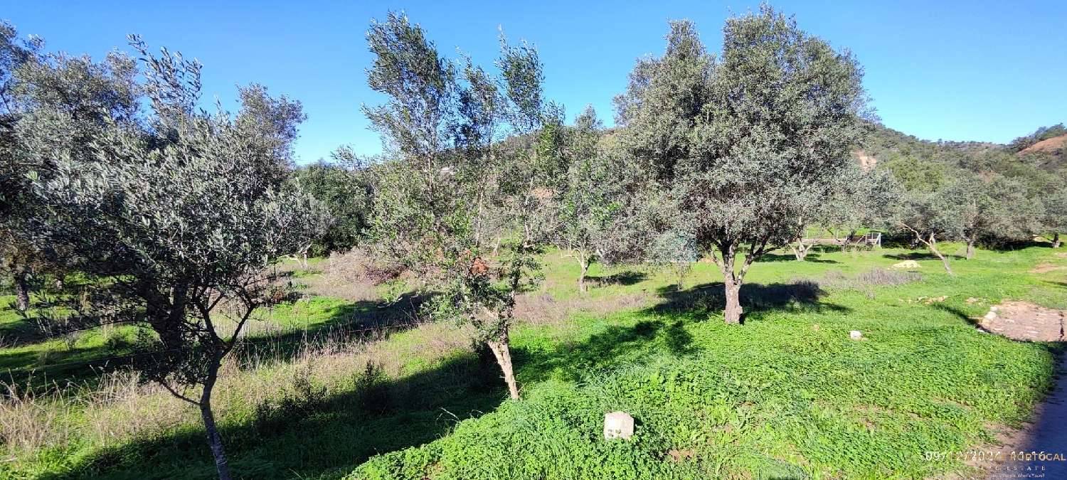  te koop terrein Loulé Loulé 8