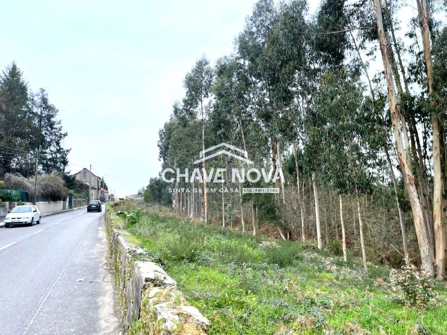  for sale terrain Gândara, Gandara Oliveira De Azeméis 1