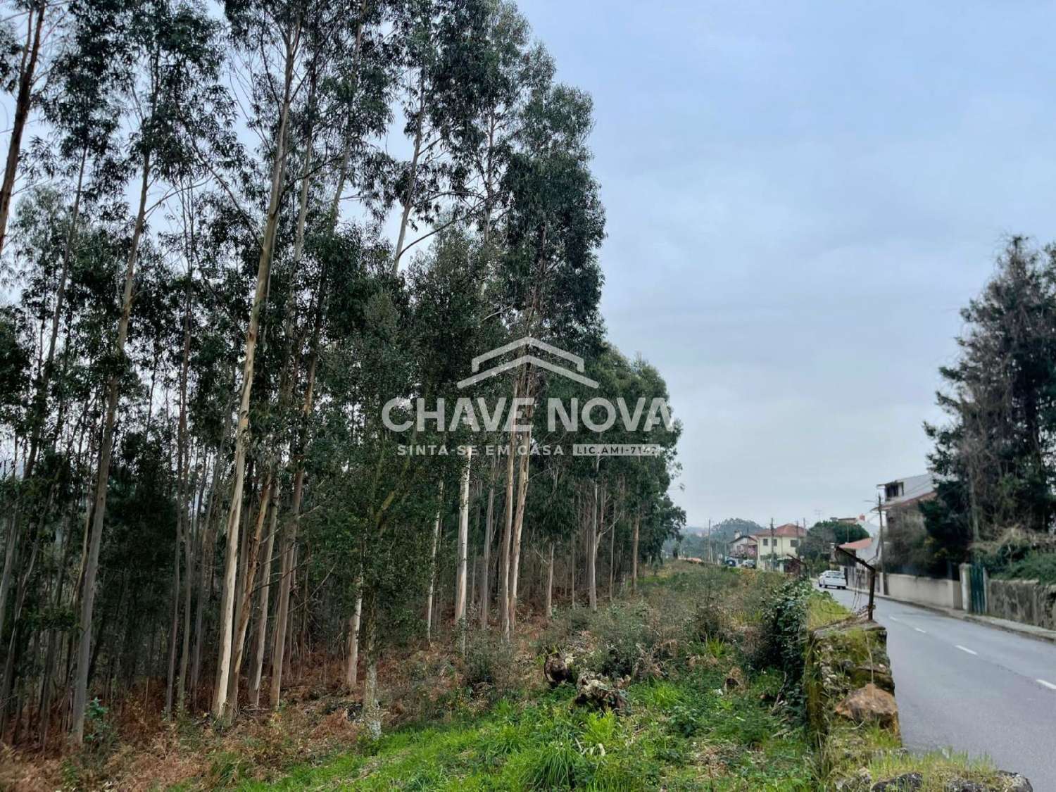 for sale terrain Gândara, Gandara Oliveira De Azeméis 2