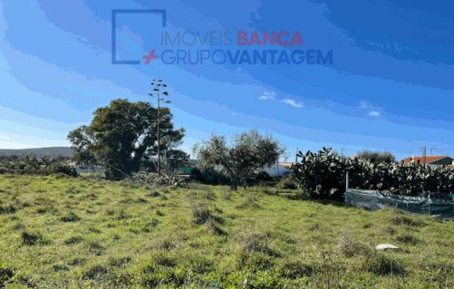  te koop terrein Mértola Mértola 2