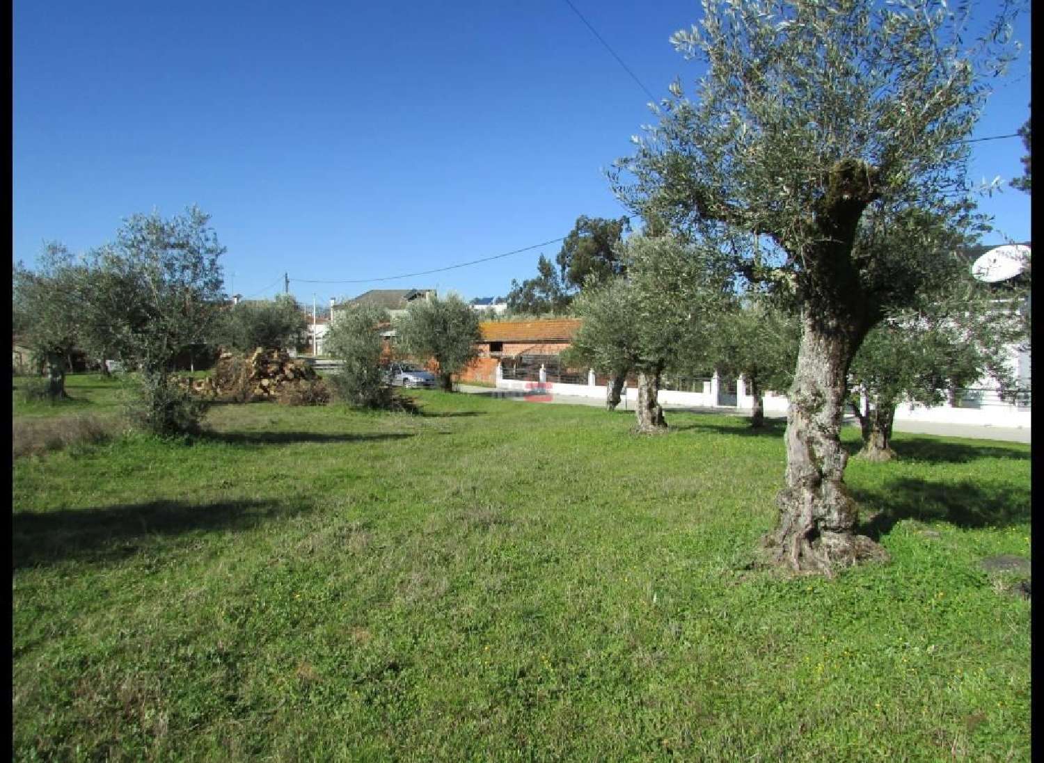 te koop terrein Rio de Couros Ourém 2