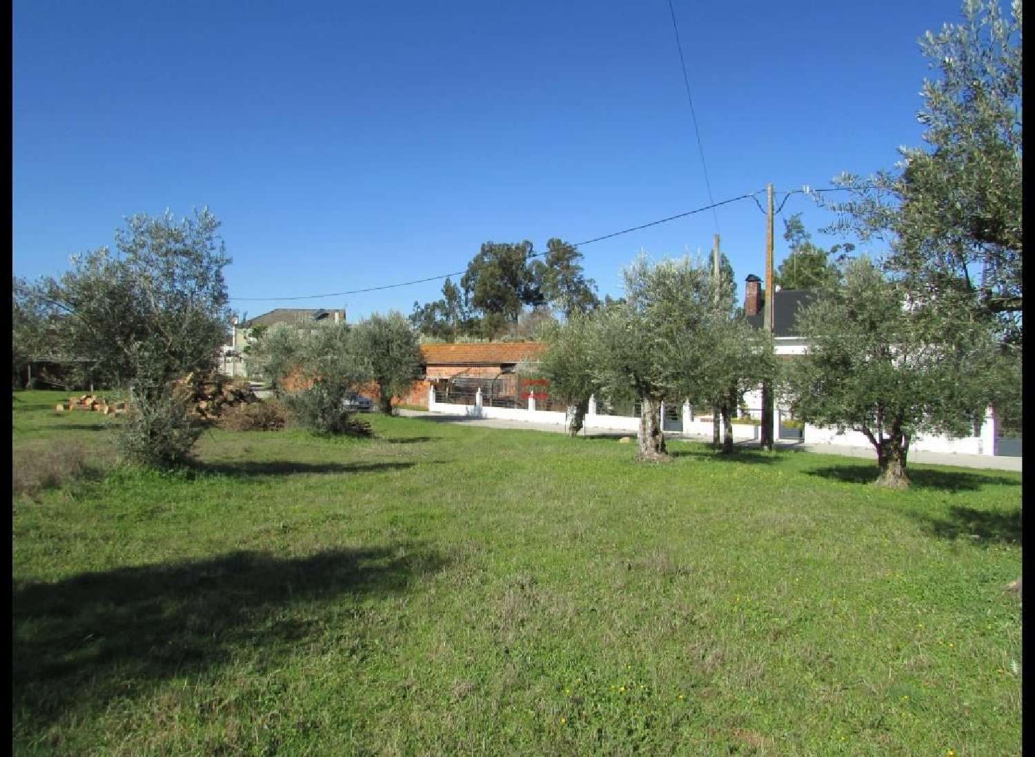 te koop terrein Rio de Couros Ourém 3