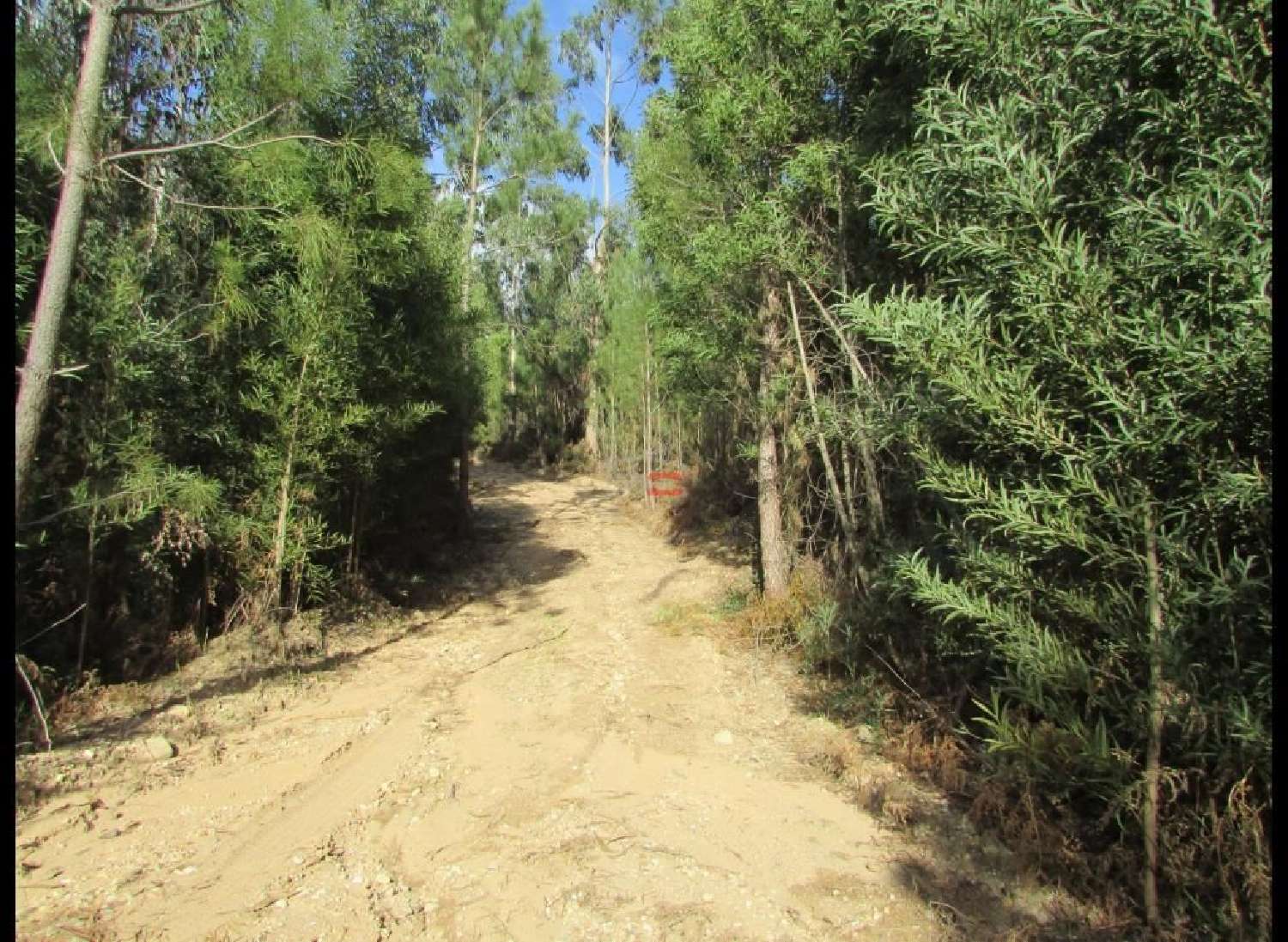  te koop terrein Rio de Couros Ourém 2