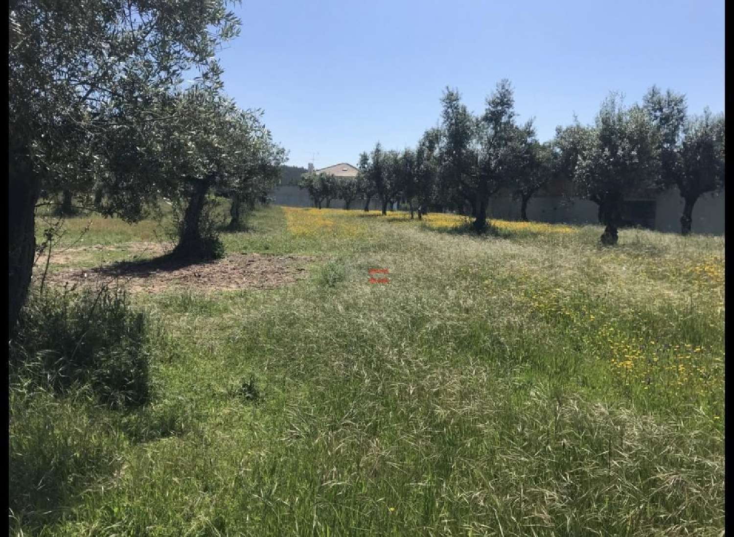  te koop terrein Rio de Couros Ourém 1