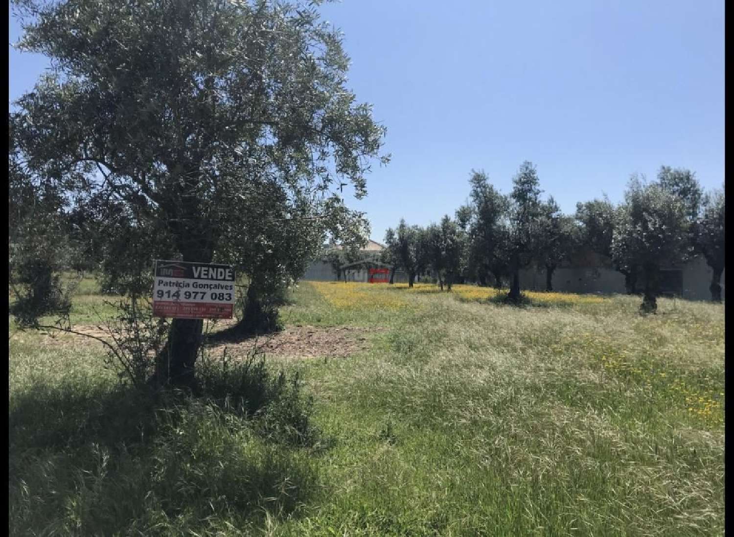  te koop terrein Rio de Couros Ourém 3