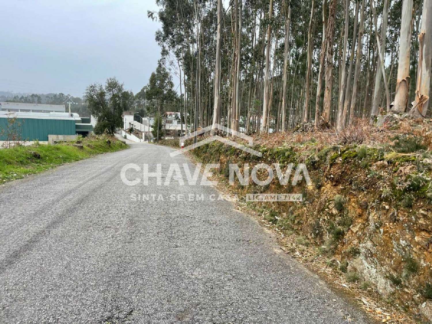 te koop terrein Sá Oliveira De Azeméis 1