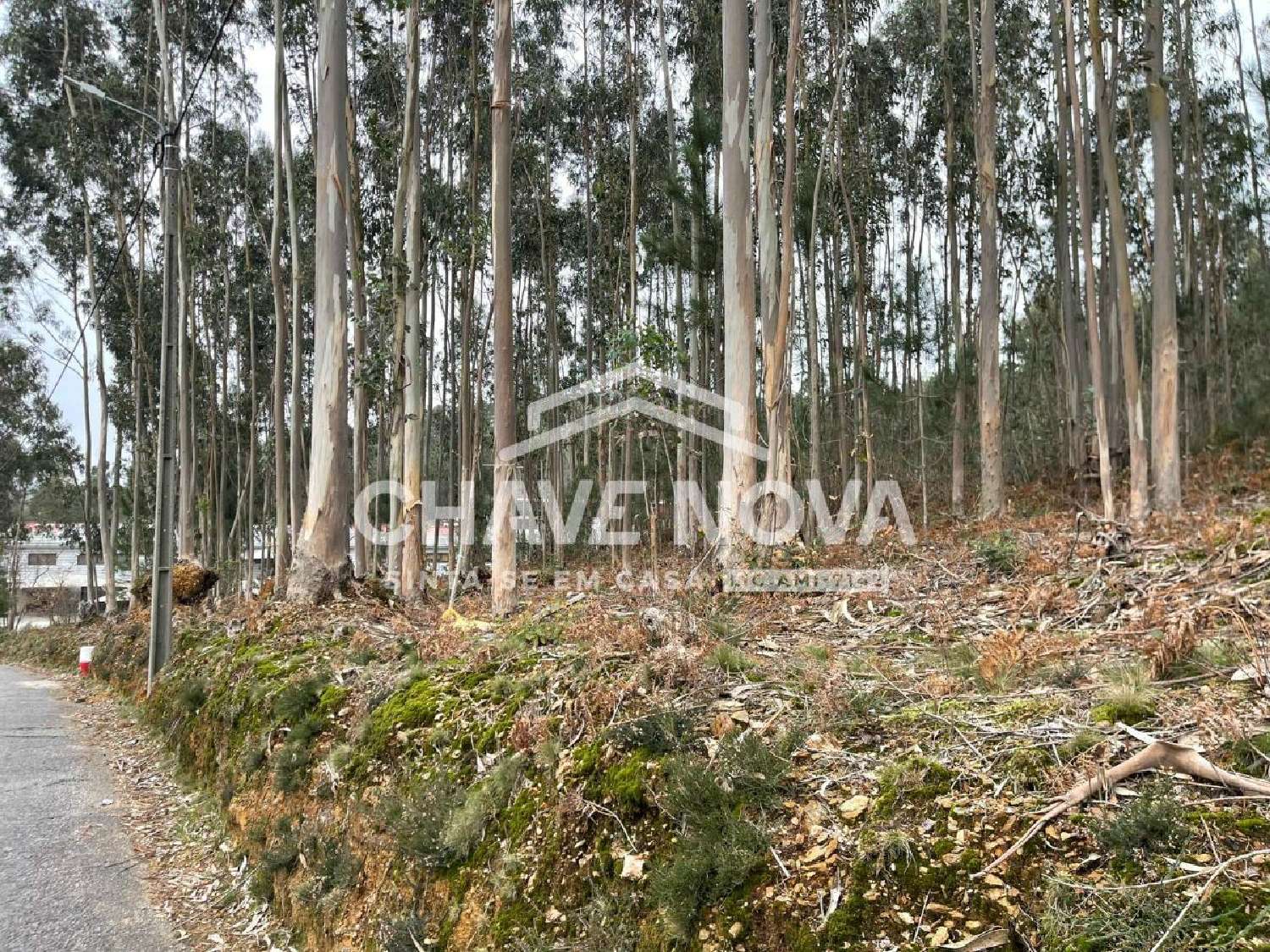 te koop terrein Sá Oliveira De Azeméis 3