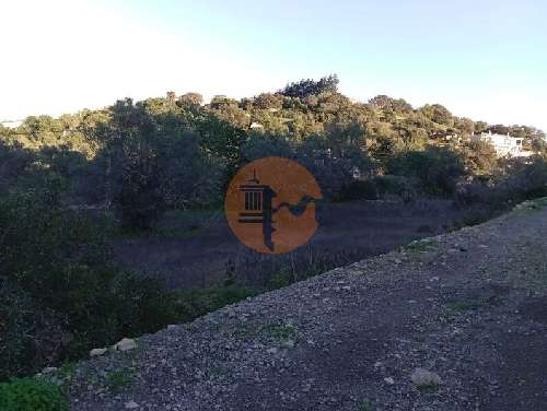São Brás de Alportel São Brás De Alportel terrein foto 310972