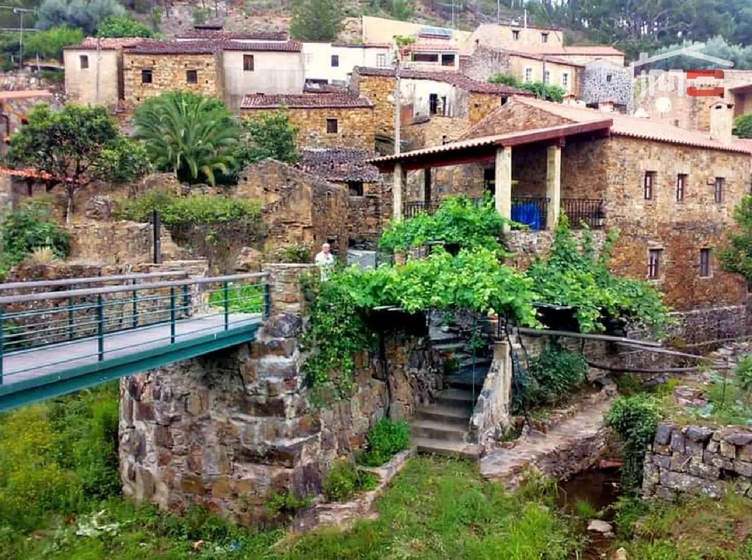 kaufen Grundstück Vila de Rei Vila De Rei 2