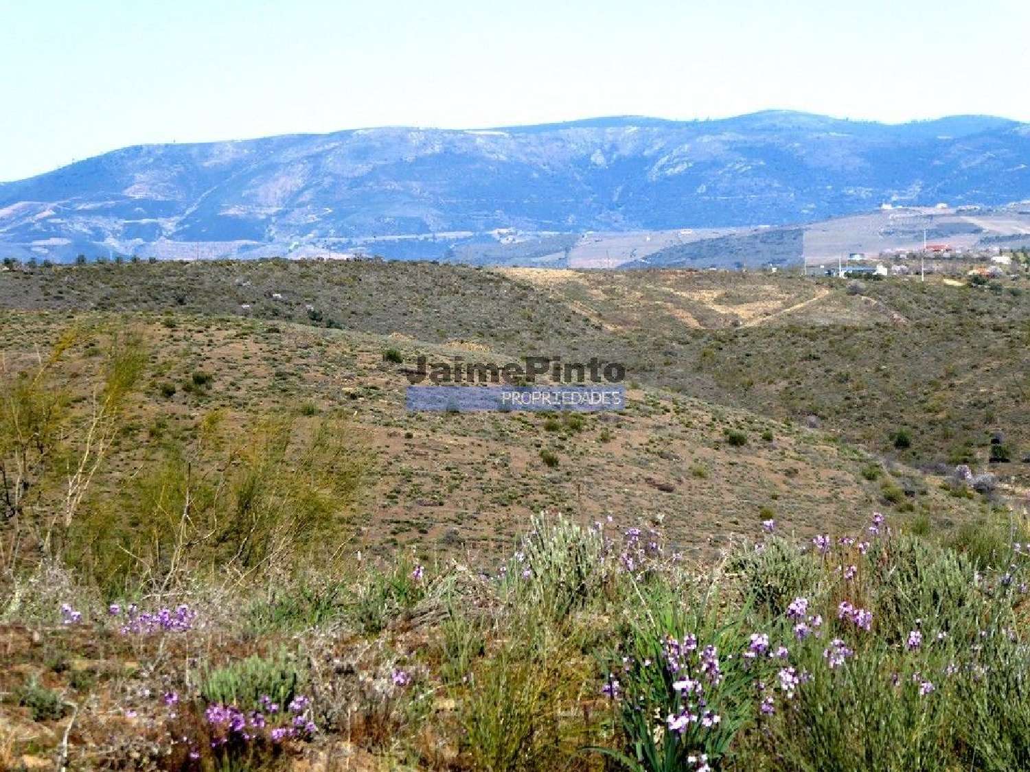 te koop terrein Vila Nova de Foz Côa Vila Nova De Foz Côa 3