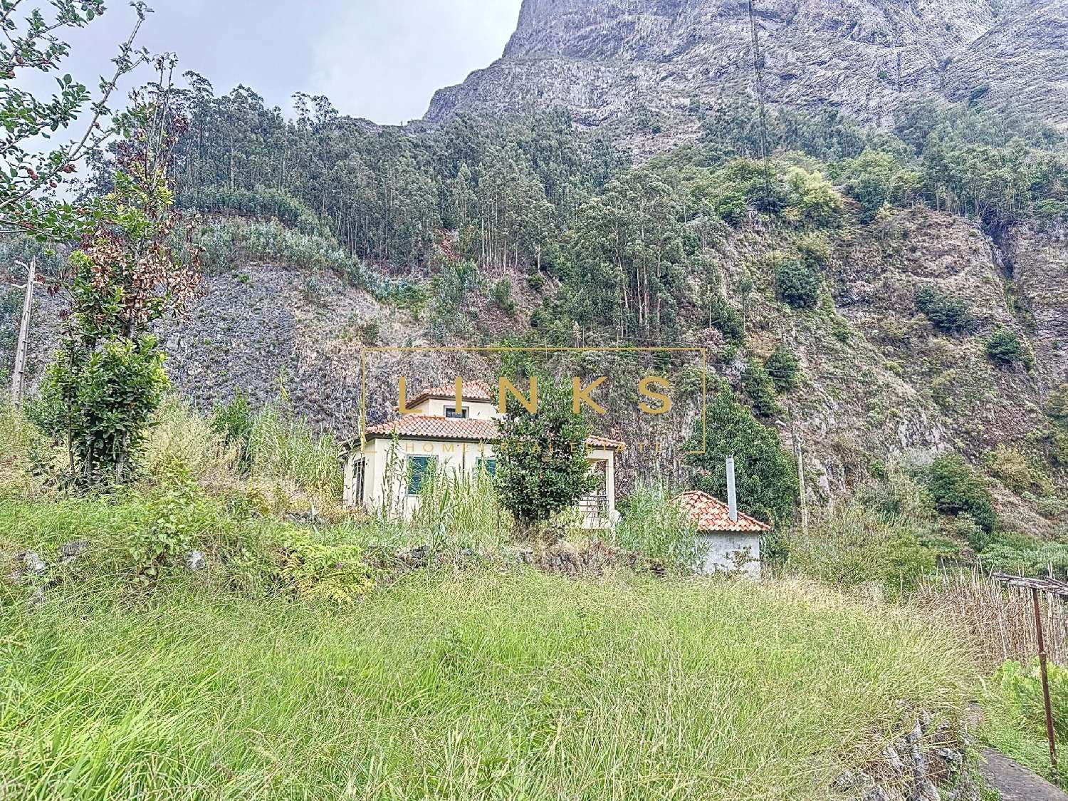  kaufen Villa Câmara de Lobos Câmara De Lobos 2