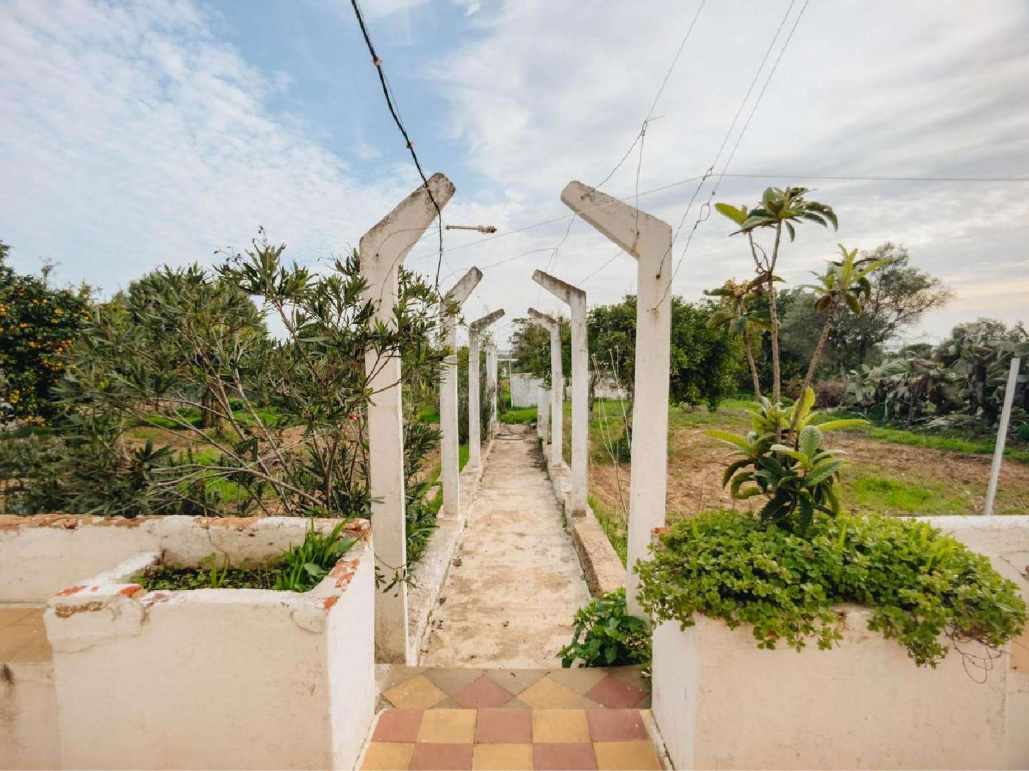  kaufen Villa Fuseta Tavira 7