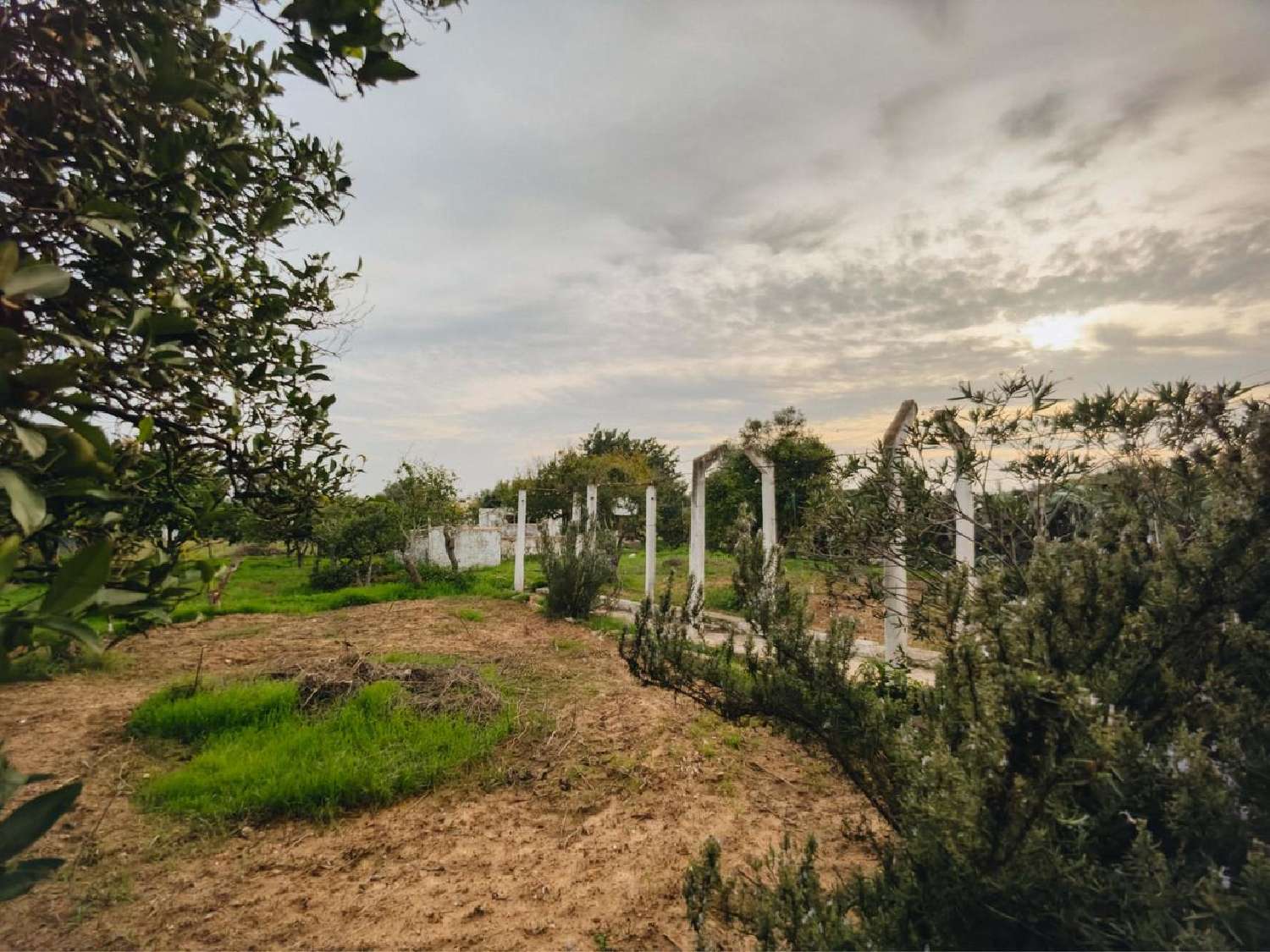  kaufen Villa Fuseta Tavira 8