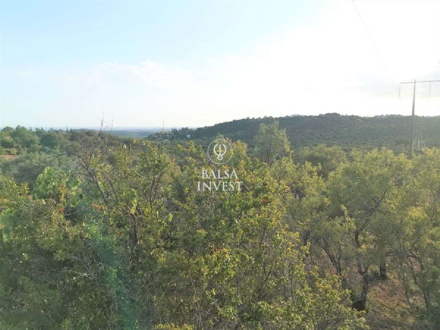 te koop villa Loulé Loulé 3