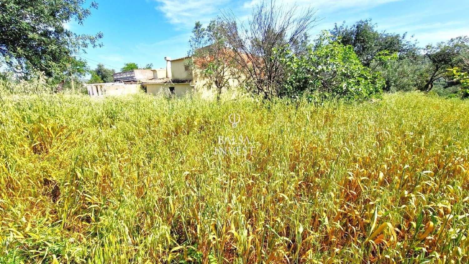 te koop villa Loulé Loulé 3