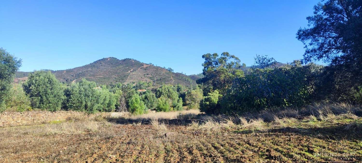 te koop villa Loulé Loulé 2