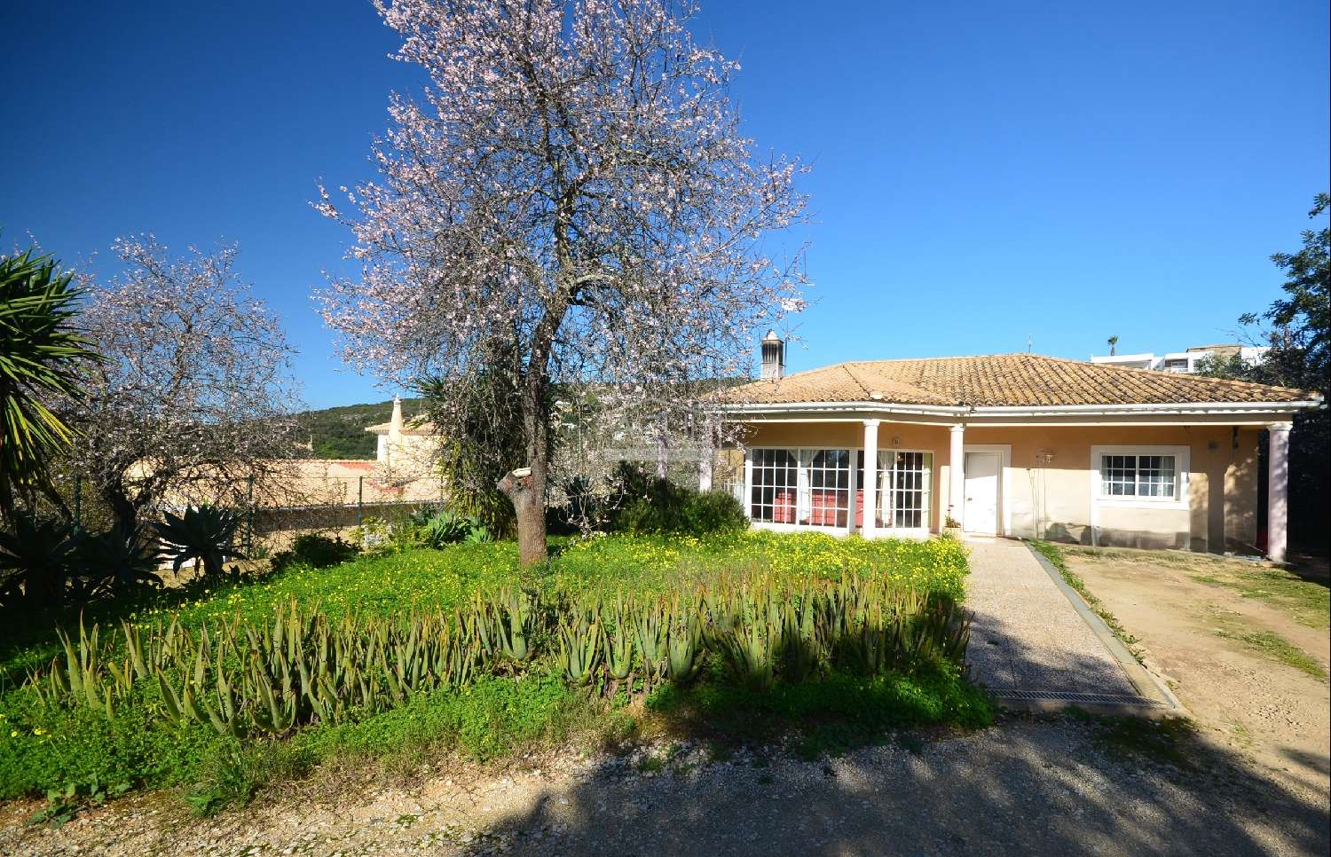  te koop villa São Brás de Alportel São Brás De Alportel 1