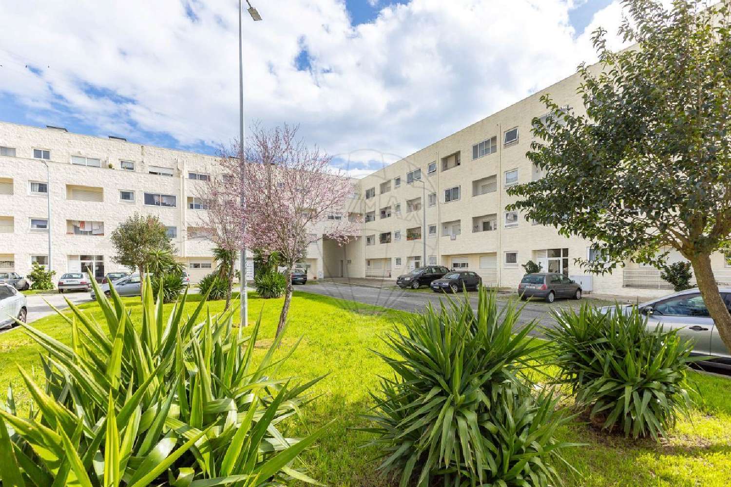  te koop appartement Campo Valongo 1