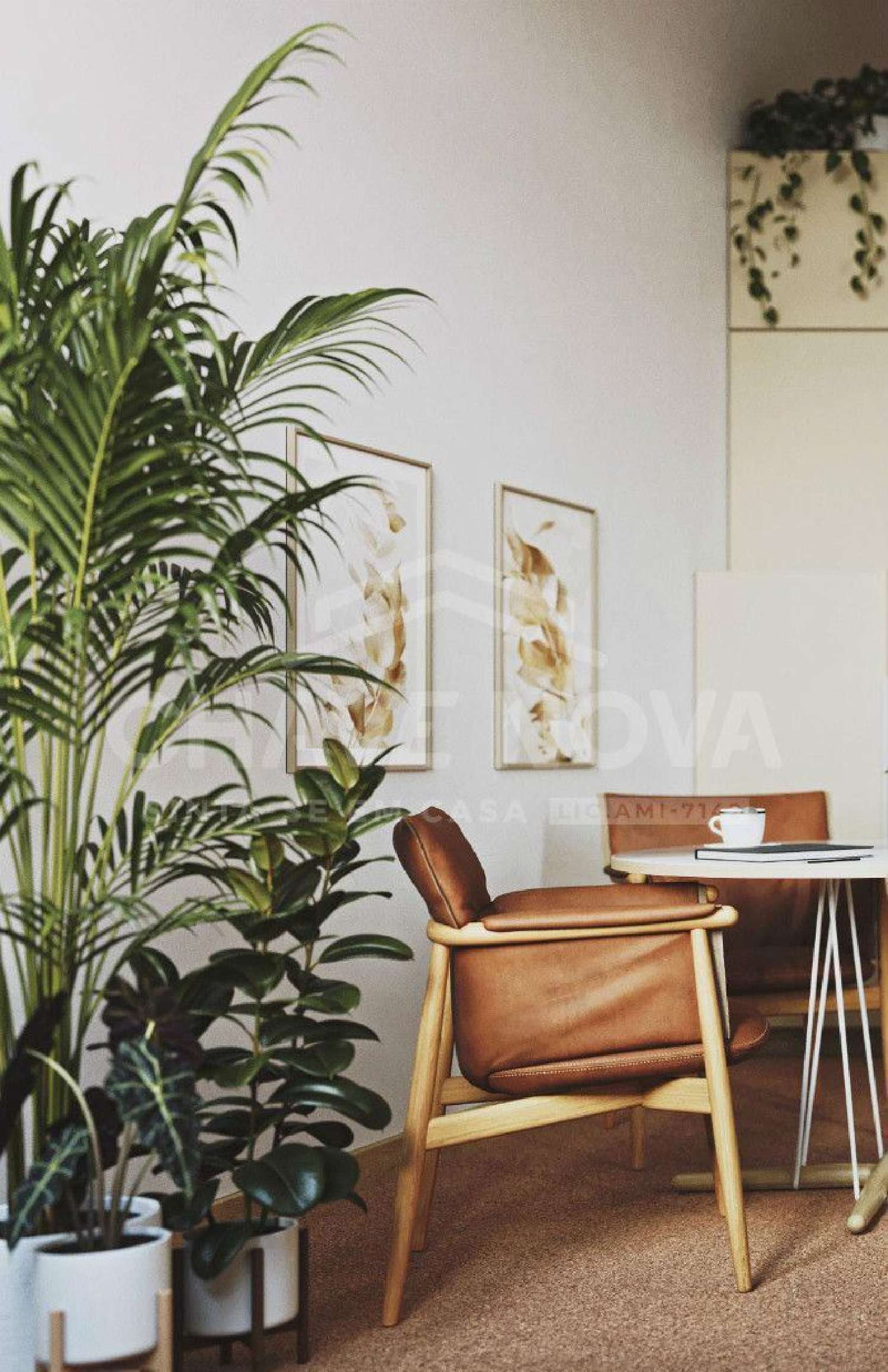  à venda apartamento Paranhos Valpaços 3
