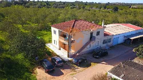 Tavira Tavira boerderij foto