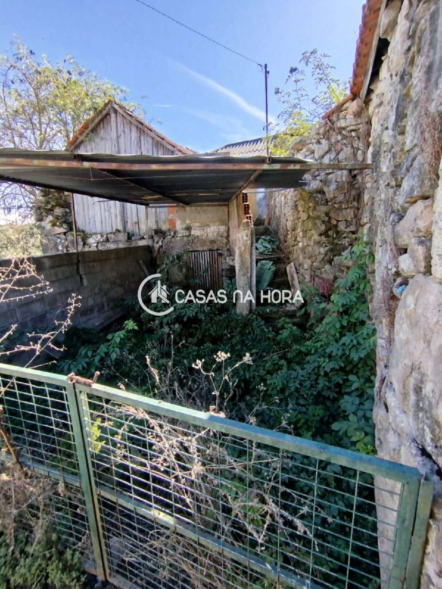 kaufen Haus Calde Viseu 3