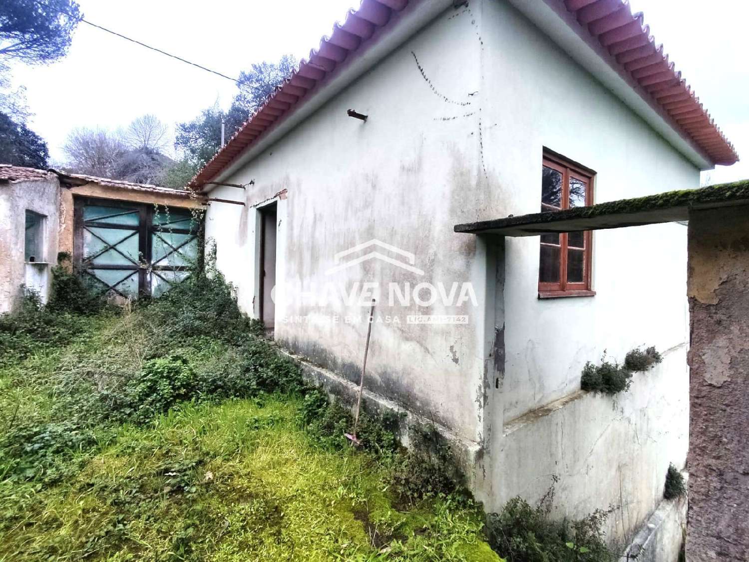 te koop huis Canelas Estarreja 3