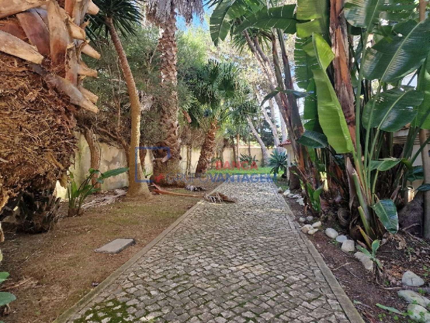  te koop huis Cascais Cascais 3