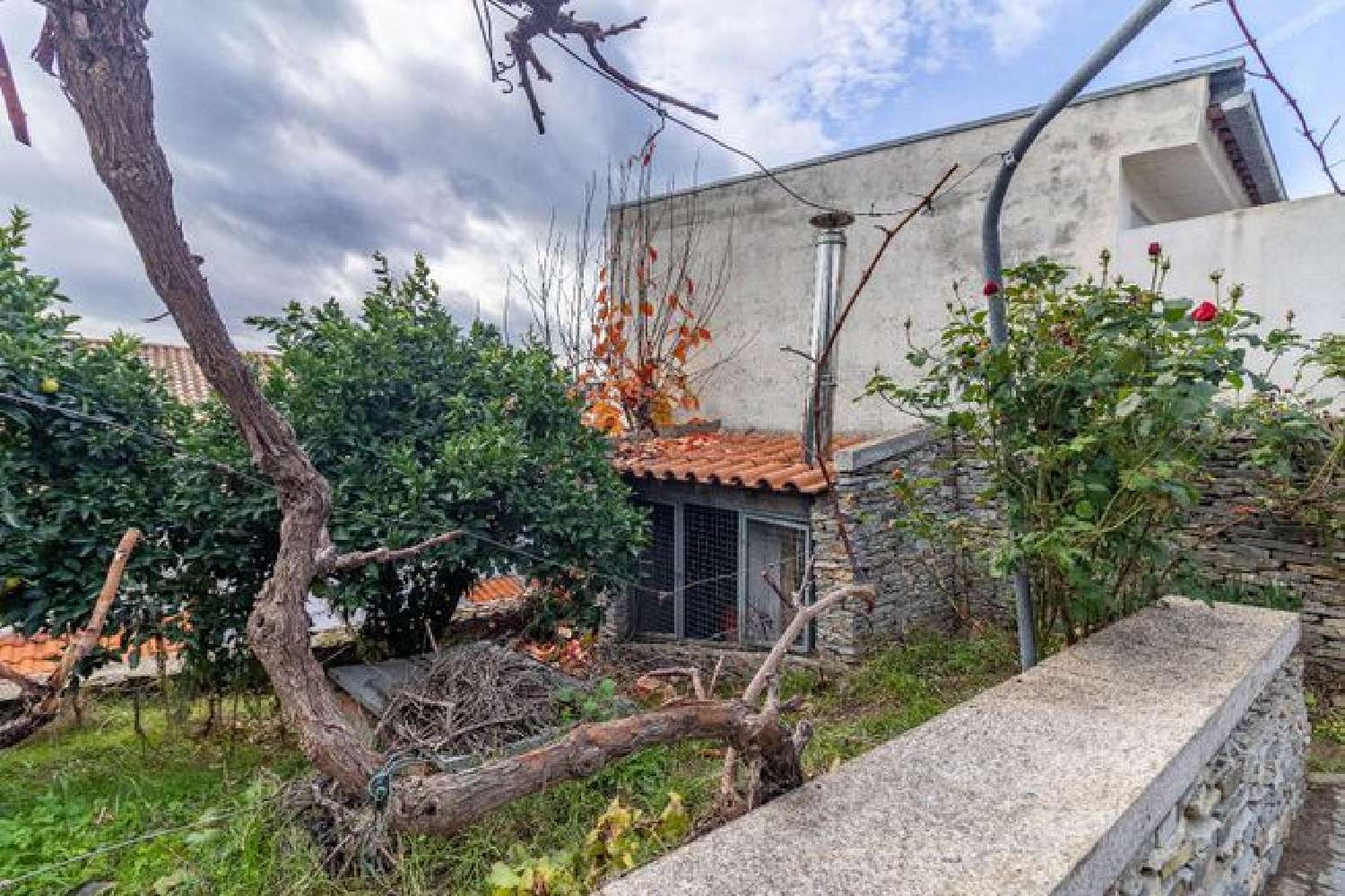 te koop huis Mirandela Mirandela 3