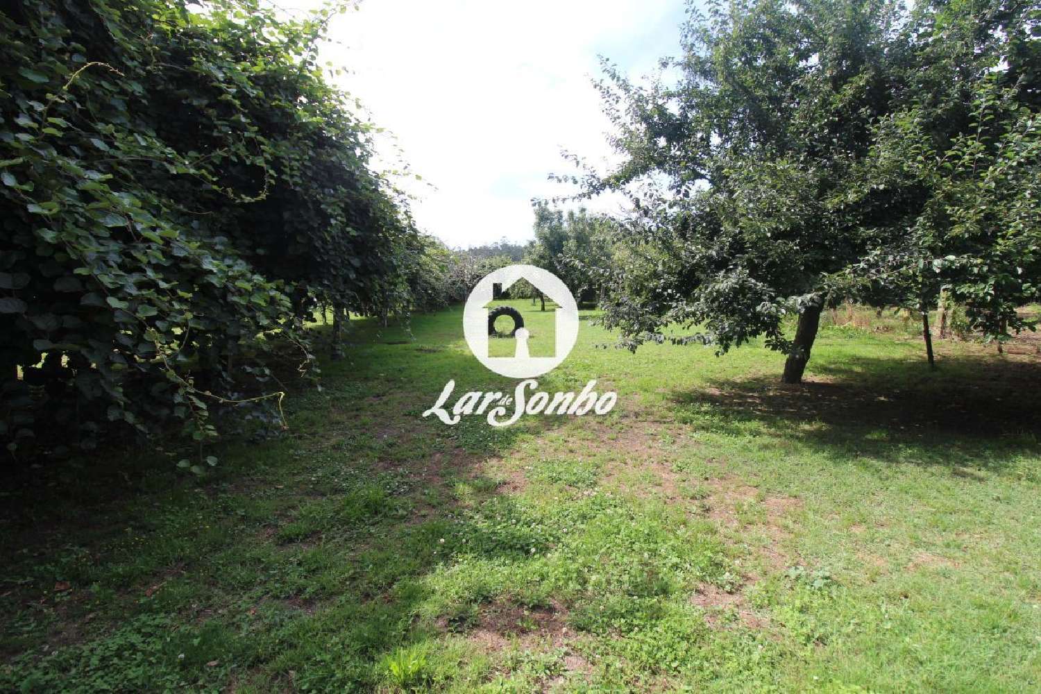  te koop huis Moreira Vale De Cambra 1