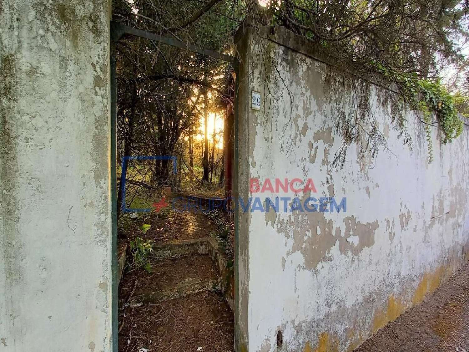  te koop huis Rio Maior Rio Maior 3