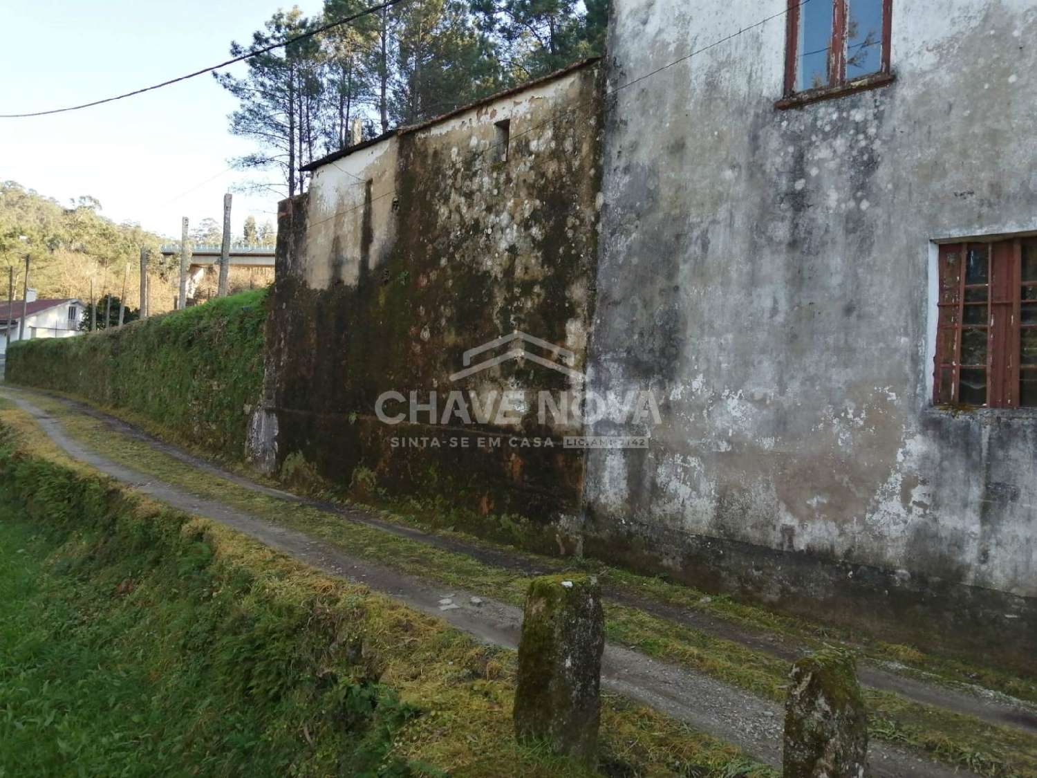  te koop huis Romariz Santa Maria Da Feira 3