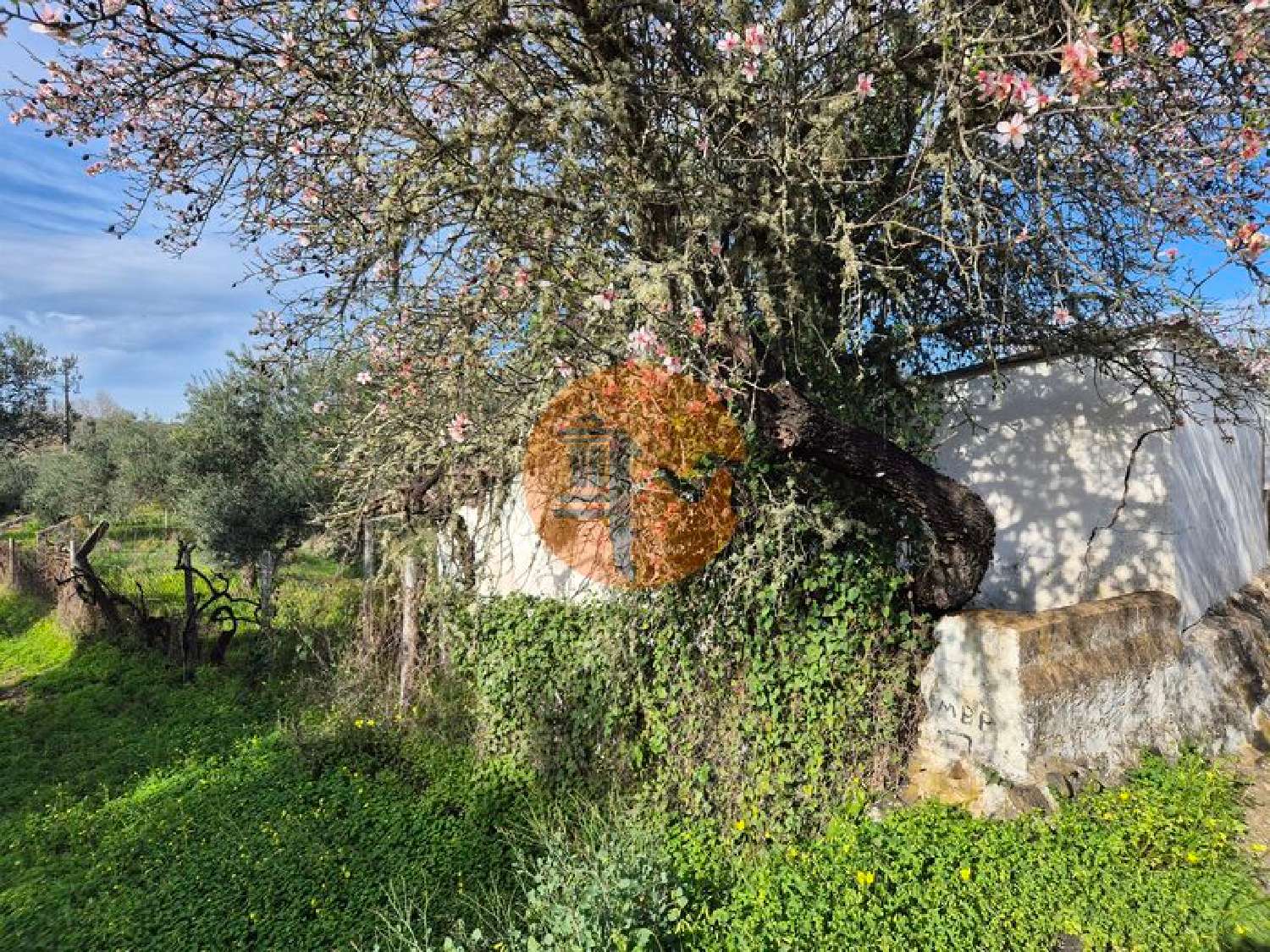  à vendre terrain Alcoutim Alcoutim 6