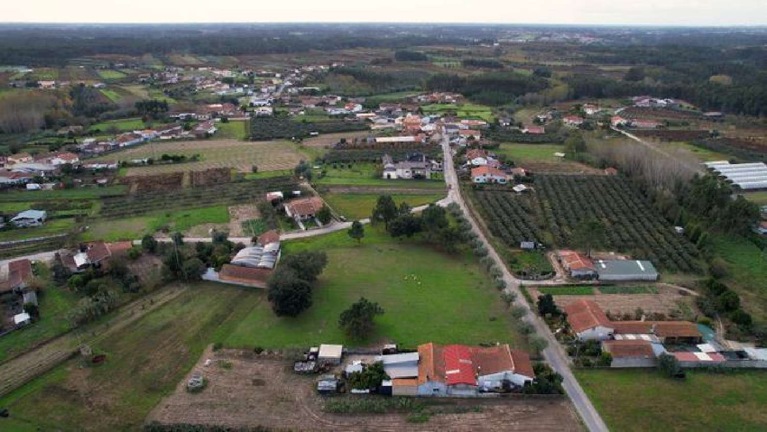 for sale terrain Amoreira da Gândara Anadia 3