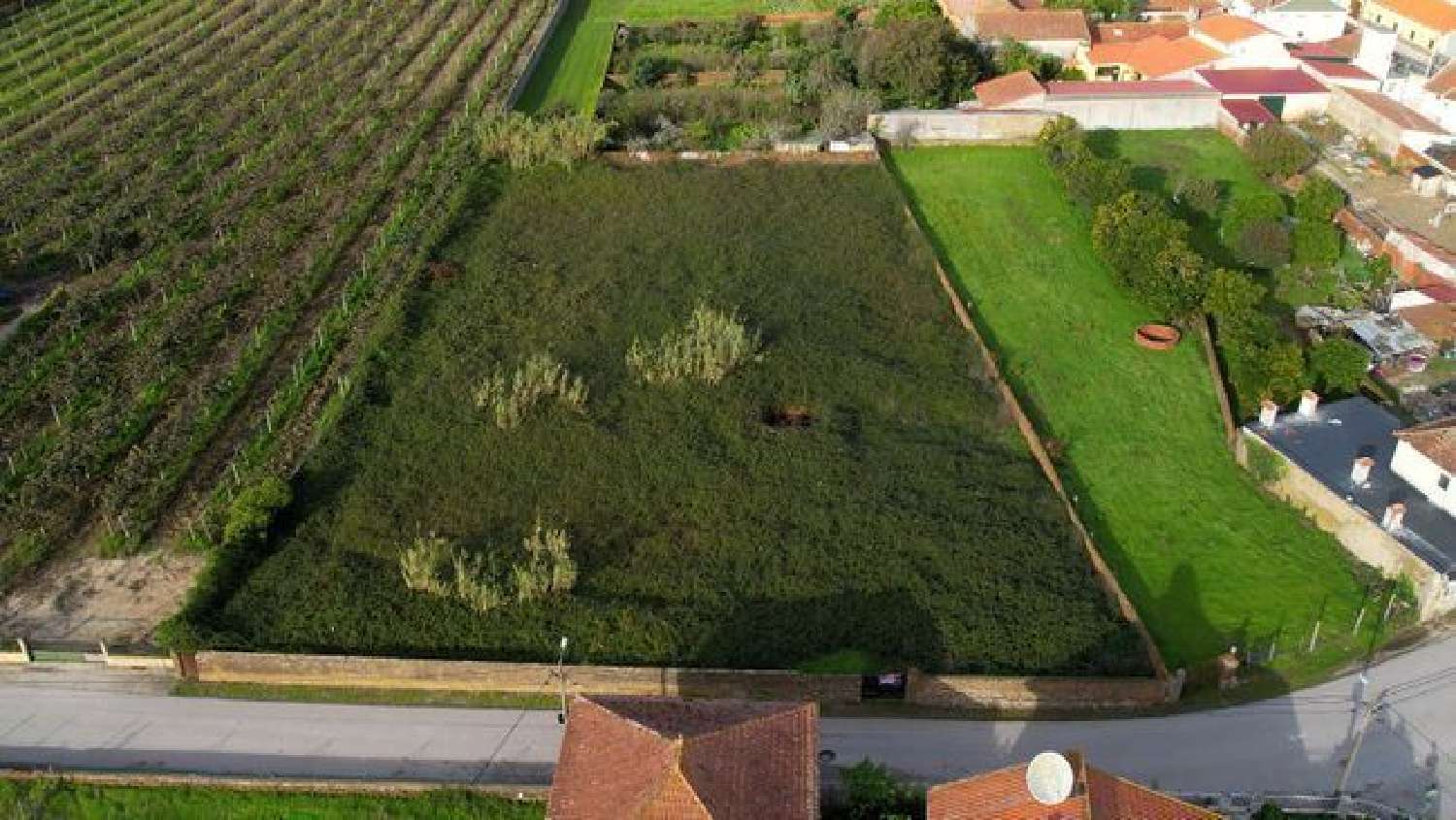 for sale terrain Amoreira da Gândara Anadia 2
