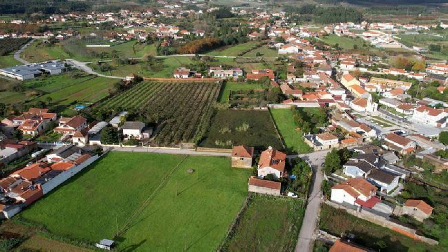 for sale terrain Amoreira da Gândara Anadia 3