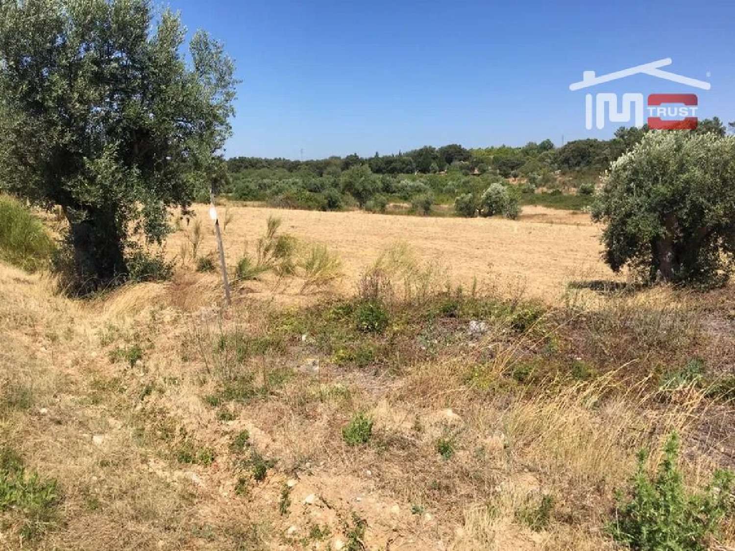  à venda terreno Casal da Estrada Torres Novas 1