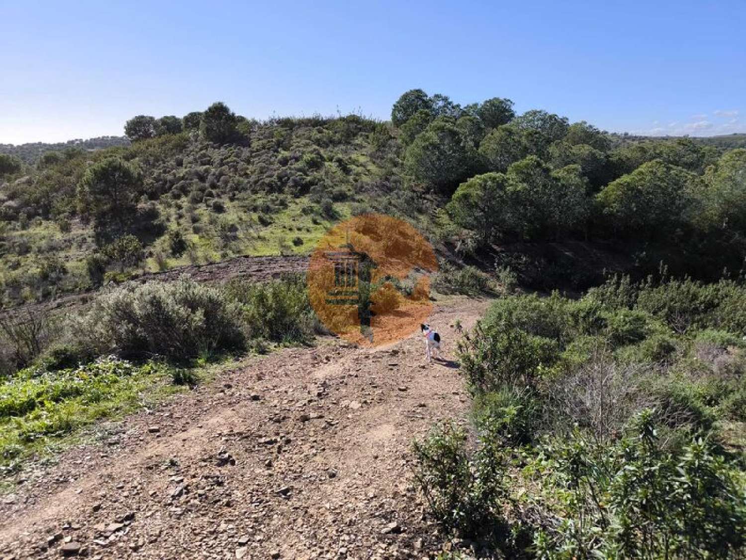  for sale terrain Castro Marim Castro Marim 3